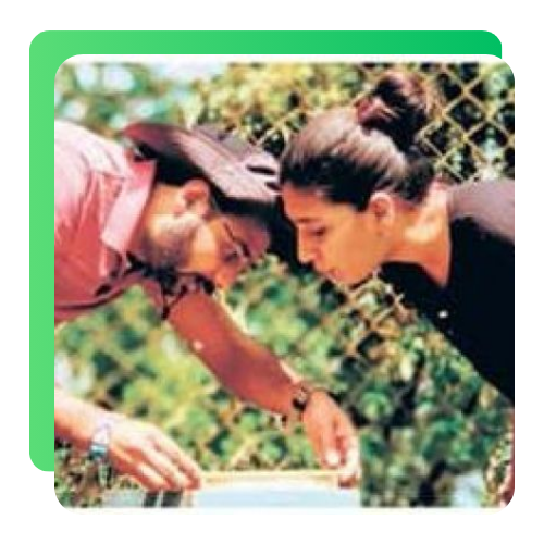 Slide Image